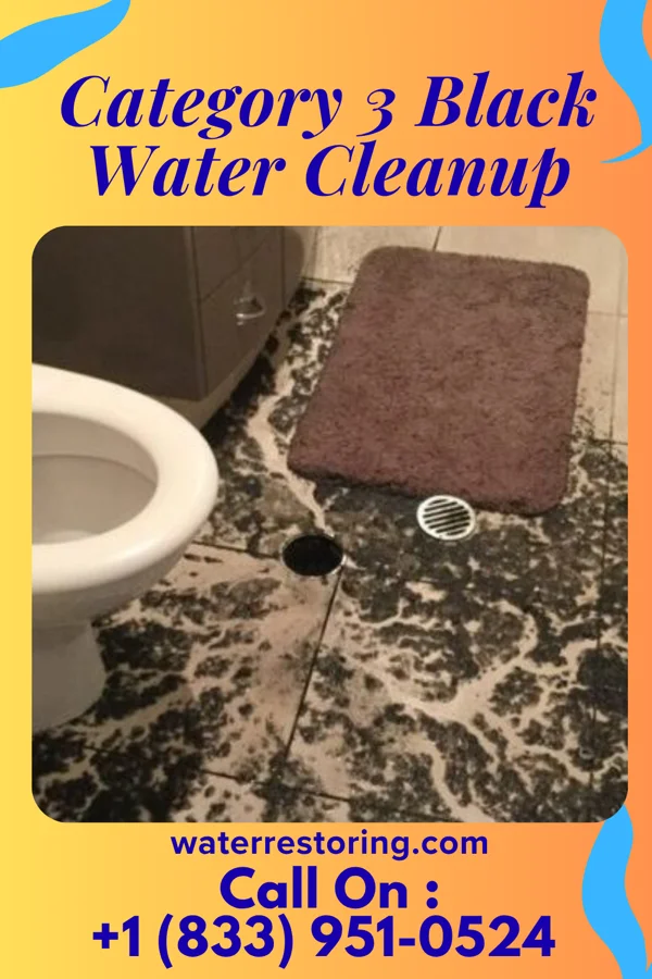 Category 3 Black Water Cleanup in Winslow, AR